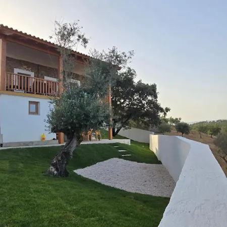 Casa Da Picoteira - Pool - Pets - Ev Charger