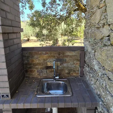 Villa Casa Da Picoteira - Pool - Pets - Ev Charger Proença-a-Nova